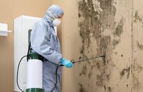 Best Mold Remediation for Healthcare Facilities  in North Bend, NE